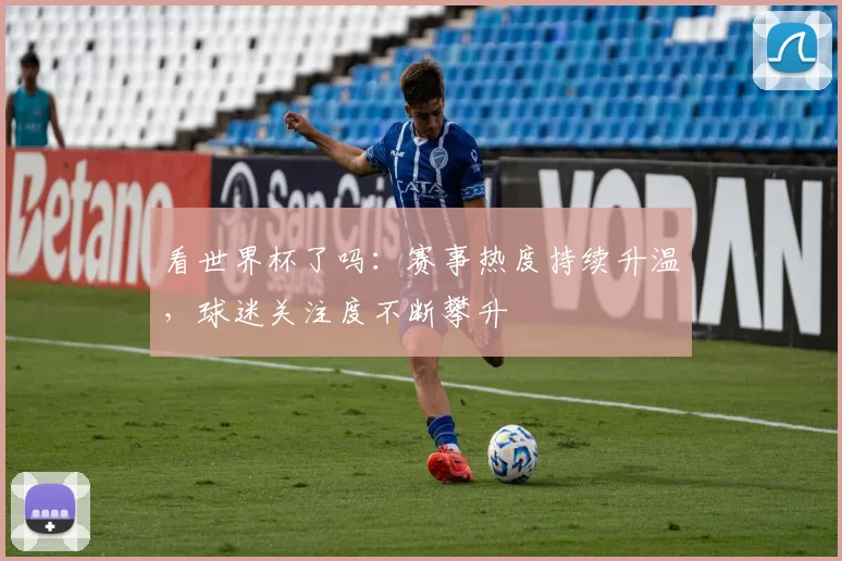 看世界杯了吗：赛事热度持续升温，球迷关注度不断攀升