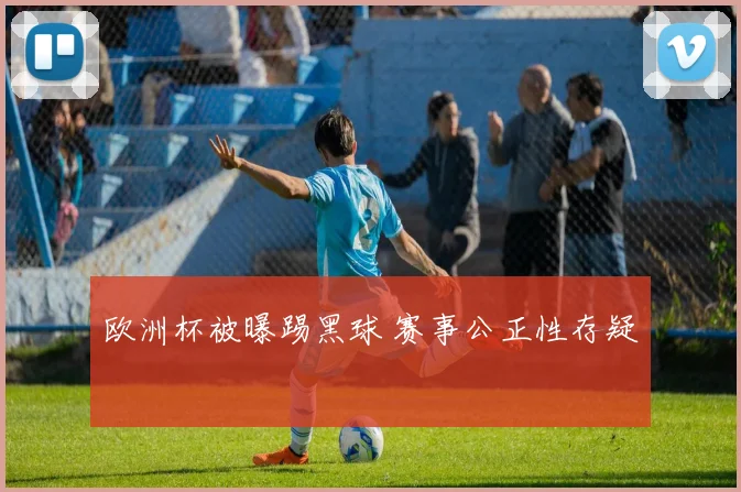 欧洲杯被曝踢黑球 赛事公正性存疑