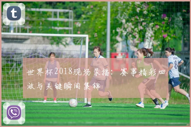 世界杯2018现场录播：赛事精彩回放与关键瞬间集锦