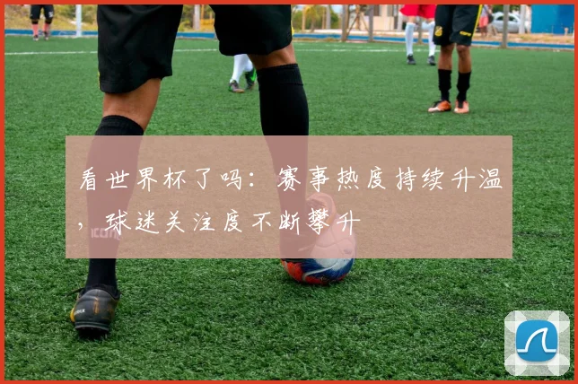 看世界杯了吗：赛事热度持续升温，球迷关注度不断攀升