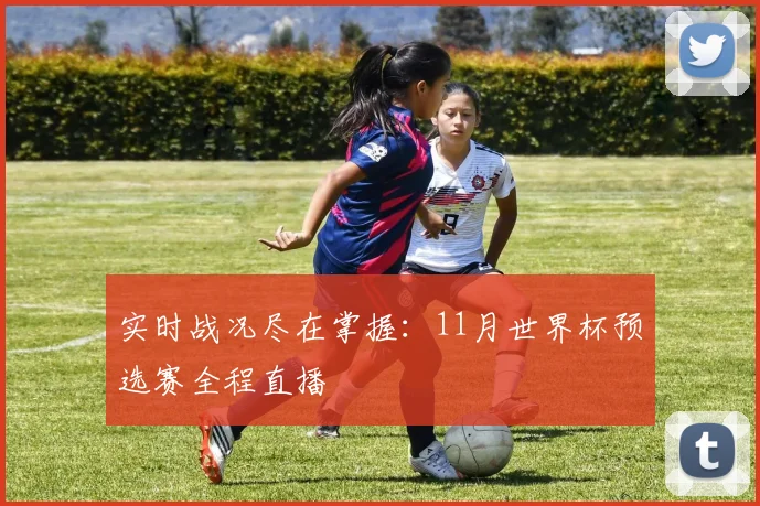 实时战况尽在掌握：11月世界杯预选赛全程直播
