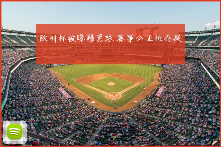 欧洲杯被曝踢黑球 赛事公正性存疑