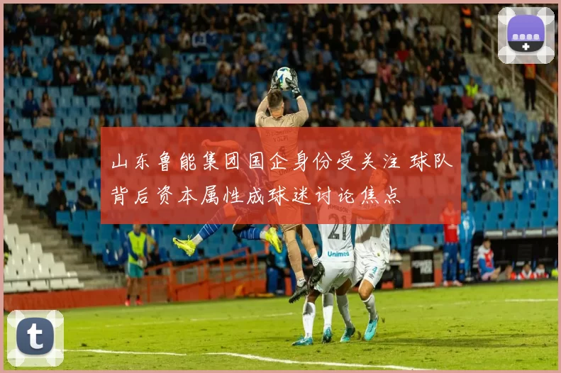 山东鲁能集团国企身份受关注 球队背后资本属性成球迷讨论焦点